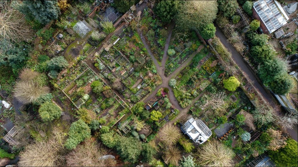 Comment reconnaître une contamination accidentelle au chlorate de soude sur une parcelle ?